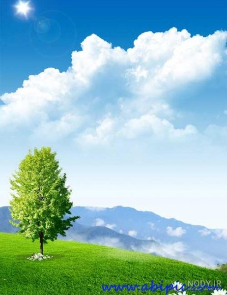  عکس جنگل سبز رویایی