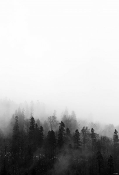  عکس کوهستان مه‌آلود
