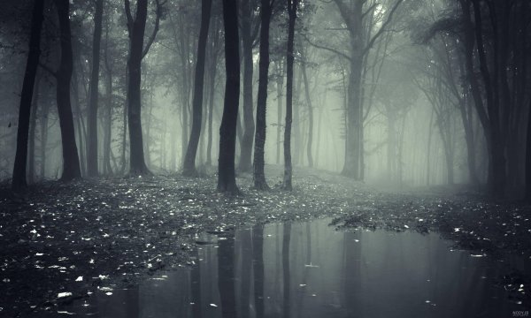  عکس کوهستان مه‌آلود