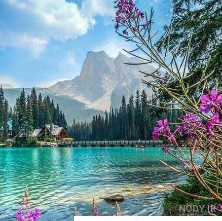  عکس منظره خاص خارجی