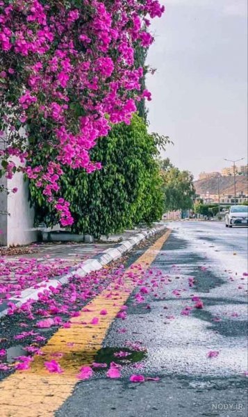  عکس منظره خاص خارجی