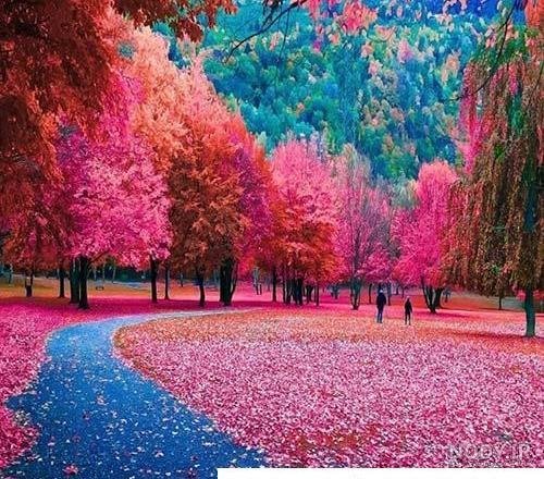  عکس منظره خاص خارجی