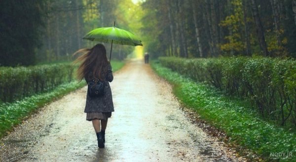  عکس طبیعت بارانی زیبا