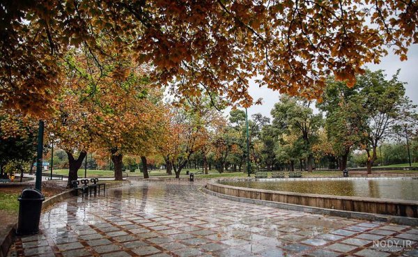  عکس طبیعت بارانی زیبا