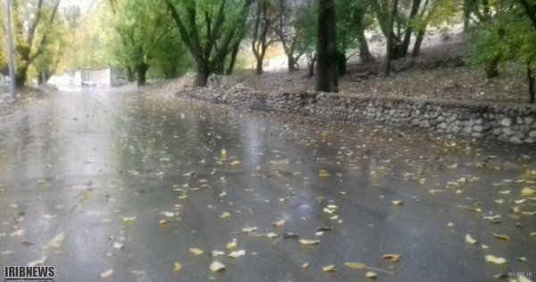  عکس طبیعت بارانی زیبا