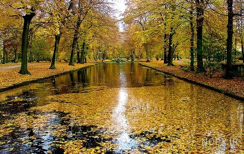  عکس طبیعت بارانی زیبا