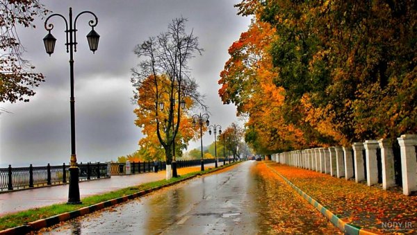  عکس طبیعت بارانی زیبا