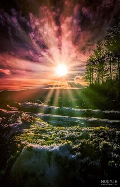  عکس طبیعت با نور طلایی