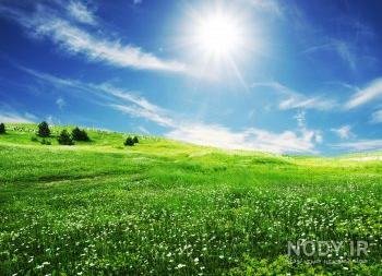  عکس طبیعت با نور طلایی