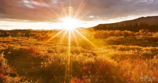  عکس طبیعت با نور طلایی