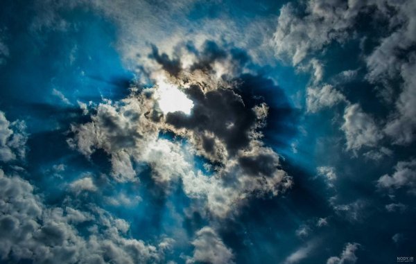  عکس طبیعت با نور طلایی