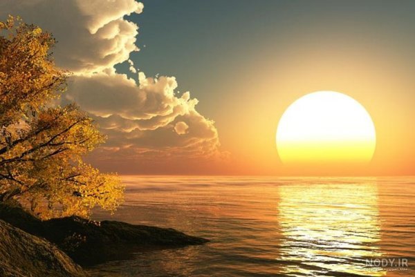  عکس طبیعت با نور طلایی