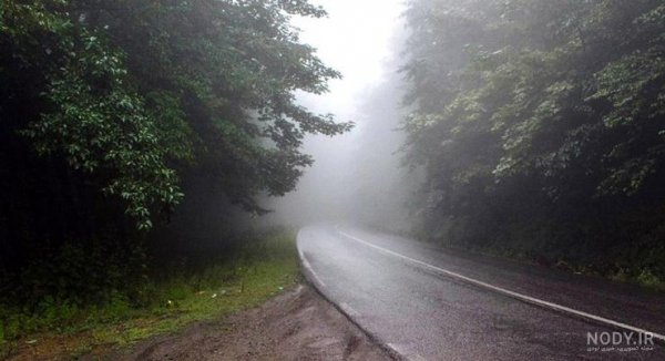  عکس طبیعت جنگلی مه