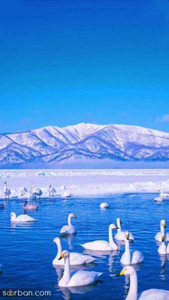  عکس طبیعت خاص HD