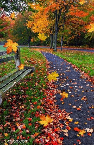  عکس طبیعت خاص HD