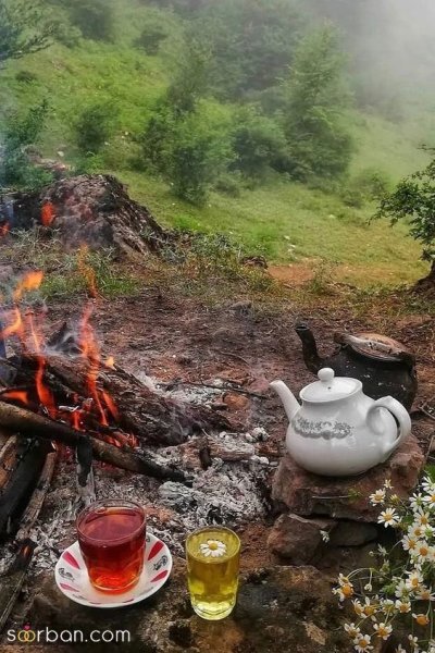  عکس طبیعت خاص HD