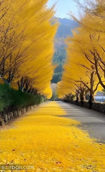  عکس طبیعت خاص HD