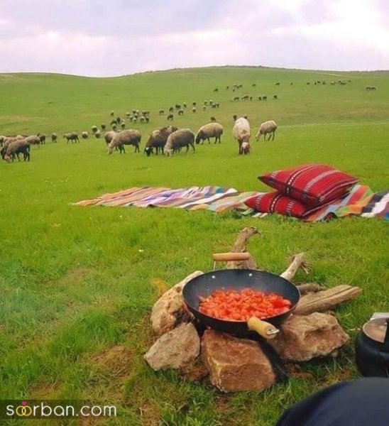  عکس طبیعت خاص HD