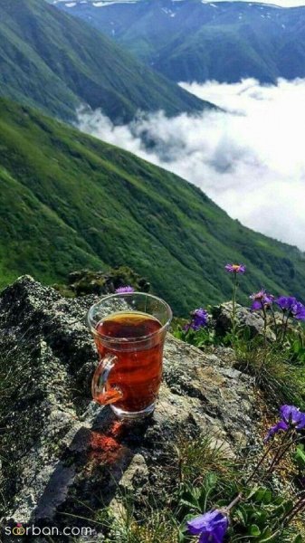  عکس طبیعت خاص HD