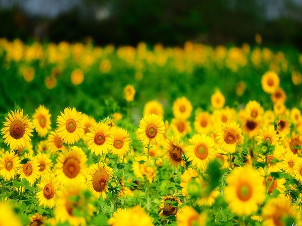  عکس طبیعت فوق‌العاده زیبا