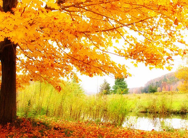  عکس طبیعت فوق‌العاده زیبا
