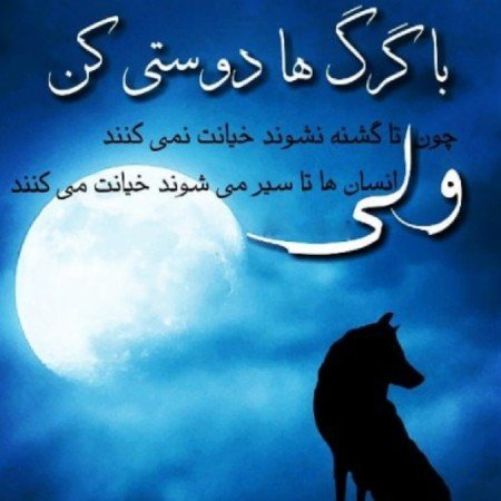  عکس فلسفی برای پروفایل