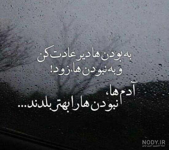 پروفایل فلسفی خاص