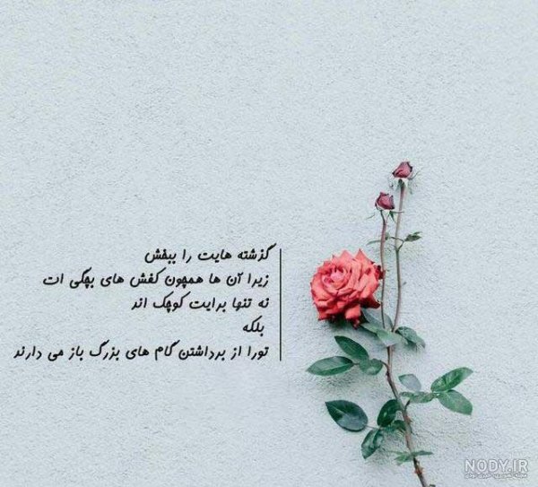  پروفایل فلسفی خاص