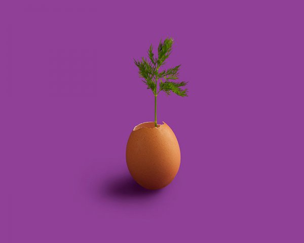  عکس مفهومی ساده