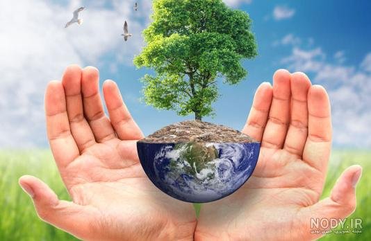  عکس مفهومی از طبیعت