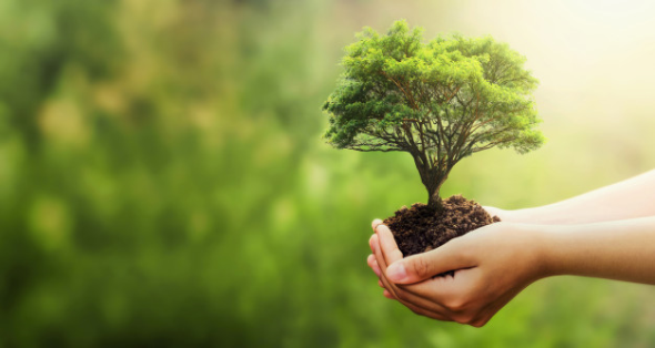  عکس مفهومی از طبیعت