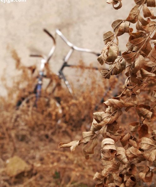  عکس مفهومی از طبیعت