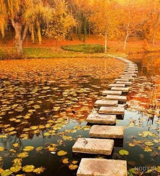 عکس مفهومی از طبیعت