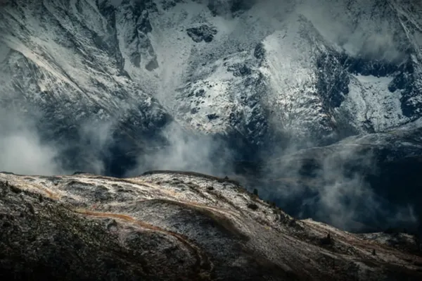  عکس انتزاعی در طبیعت
