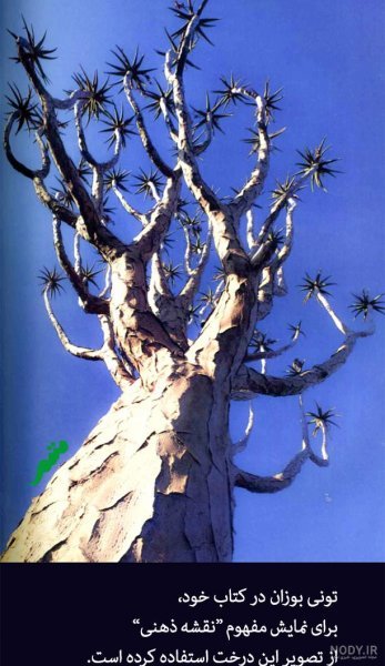  عکس مفهومی ذهنی خاص