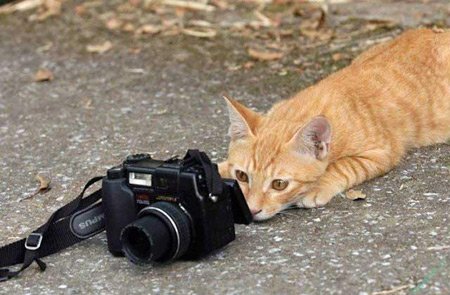  عکس های وایرال شده جدید