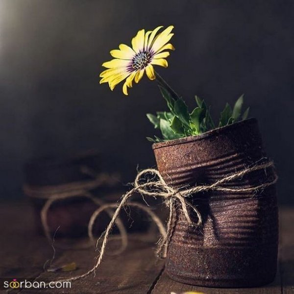  عکس جالب جدید
