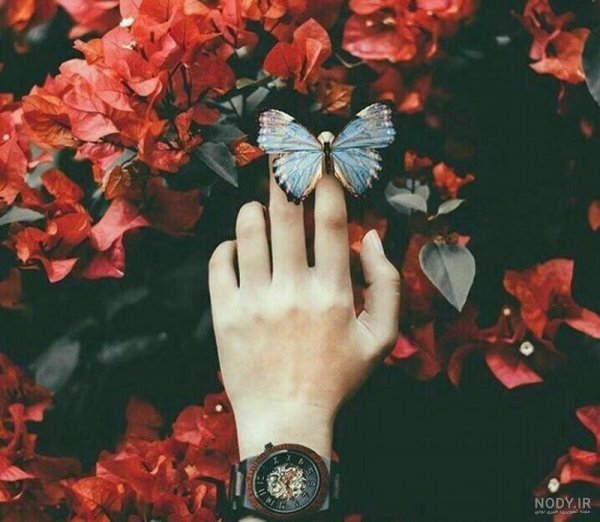  عکس برای پست اینستاگرام بدون متن