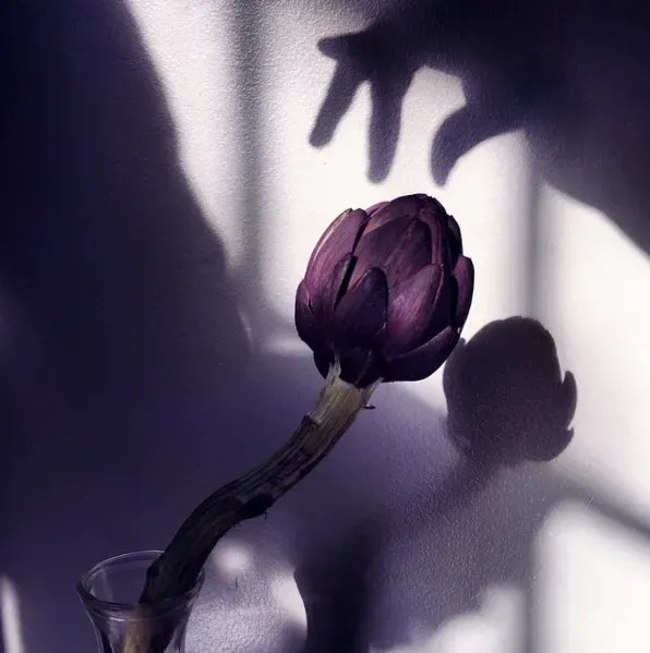  عکس برای پست اینستاگرام بدون متن