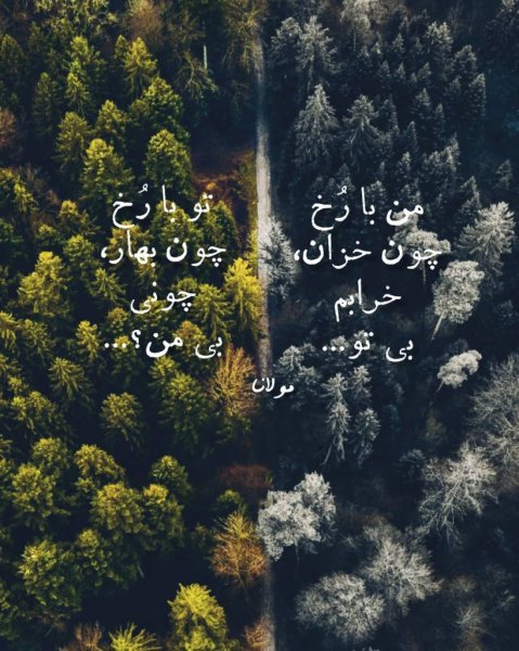 عکس وایرال خاص اینستا
