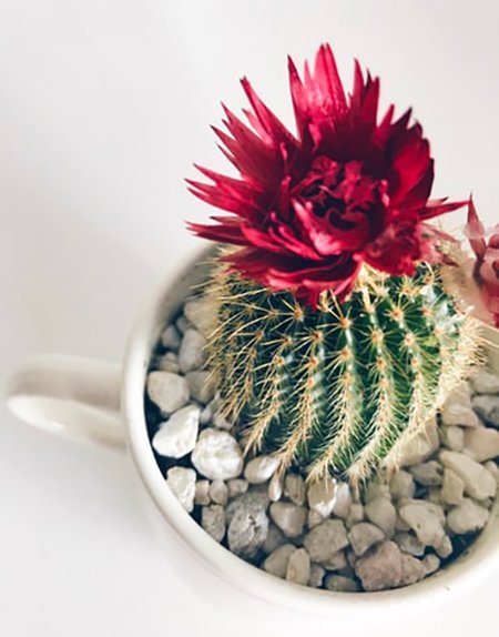  عکس خاص برای استوری