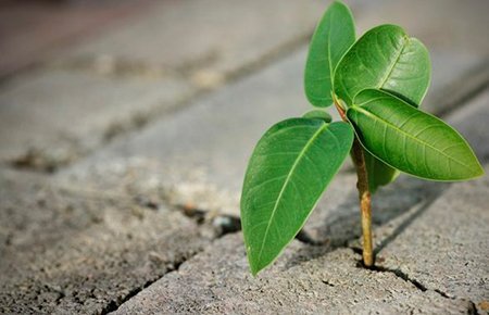  عکس خاص برای استوری
