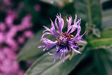  عکس خاص برای استوری