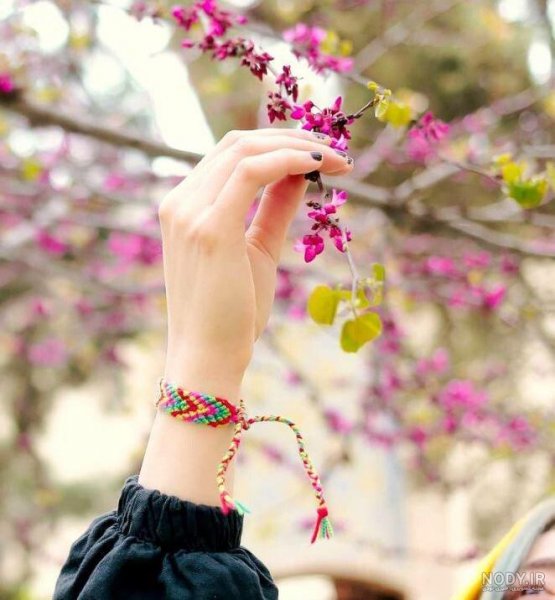  عکس اینستاگرامی لاکچری