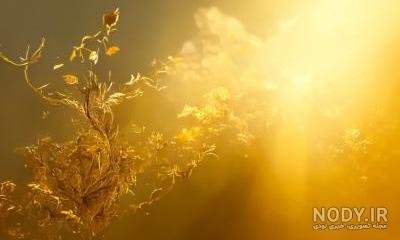  پس زمینه طلایی براق