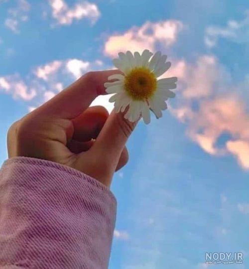  عکس دختر زرد کیوت