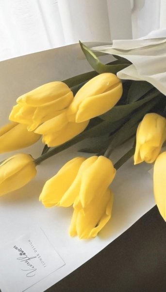  عکس پس زمینه زرد فانتزی