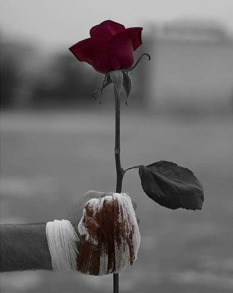  عکس مفهومی عمیق فلسفی جدید