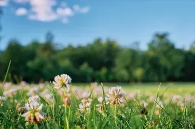  عکس با طراحی خاص و کیفیت بالا