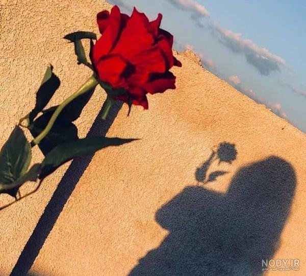  عکس پروفایل سایه دختر